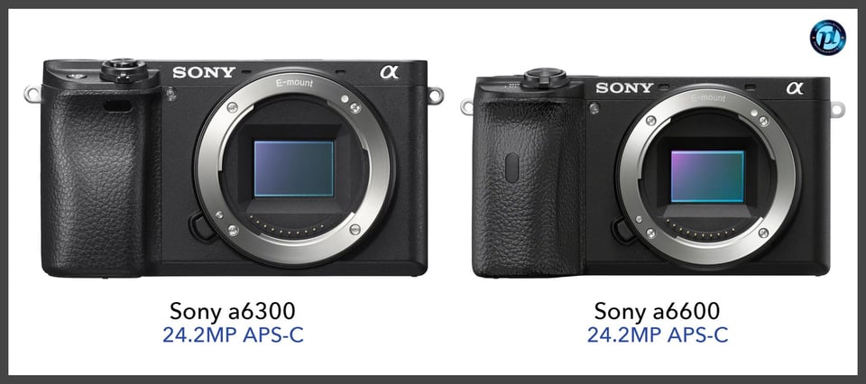 Sonya6300_vs_Sonya6600_comparison_front