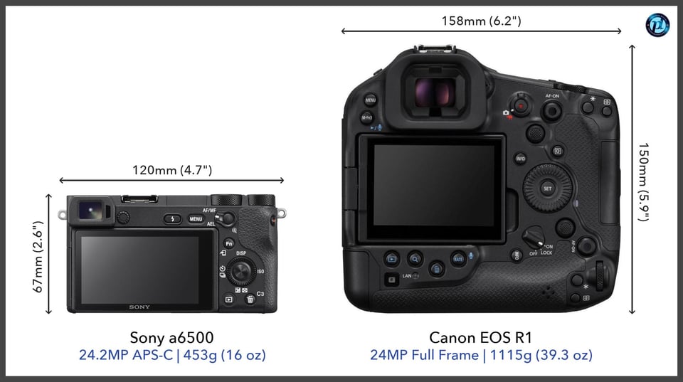 Sonya6500_vs_CanonEOSR1_comparison_back