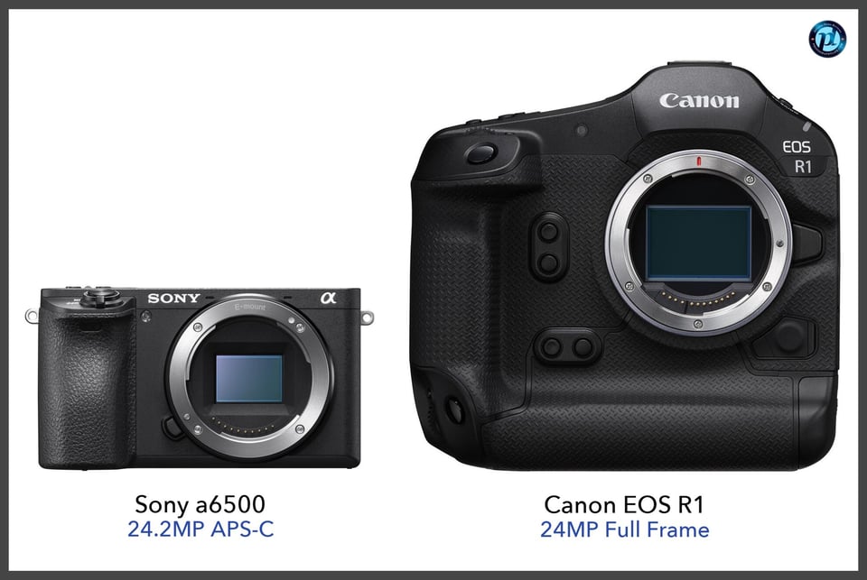 Sonya6500_vs_CanonEOSR1_comparison_front