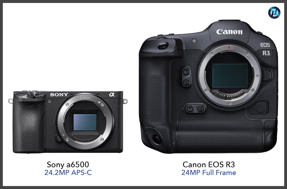 Sonya6500_vs_CanonEOSR3_comparison_front