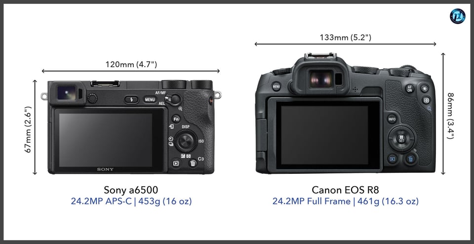 Sonya6500_vs_CanonEOSR8_comparison_back