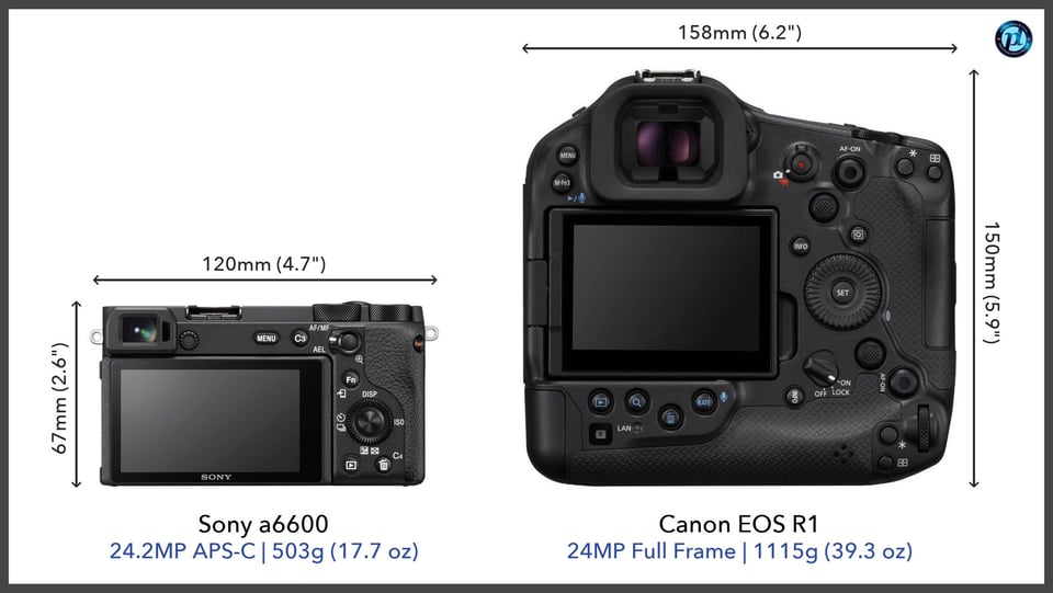 Sonya6600_vs_CanonEOSR1_comparison_back