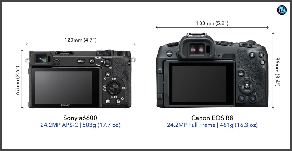 Sonya6600_vs_CanonEOSR8_comparison_back