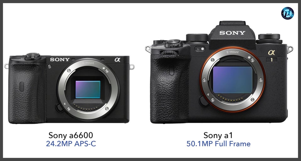 Sonya6600_vs_Sonya1_comparison_front