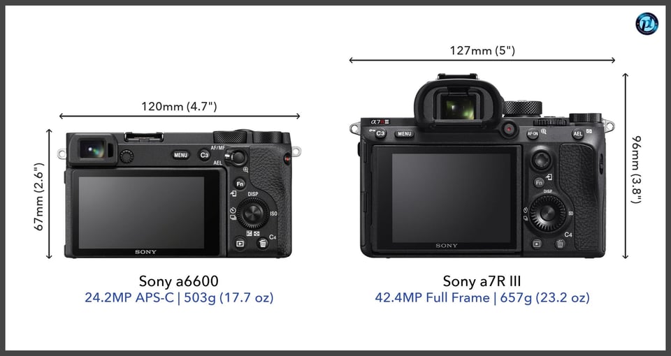 Sonya6600_vs_Sonya7RIII_comparison_back