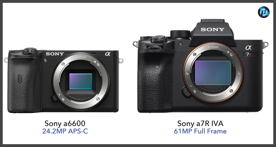 Sonya6600_vs_Sonya7RIVA_comparison_front