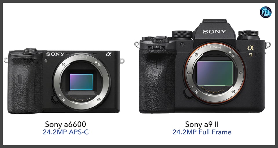 Sonya6600_vs_Sonya9II_comparison_front