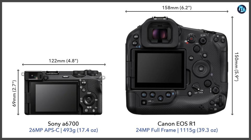 Sonya6700_vs_CanonEOSR1_comparison_back