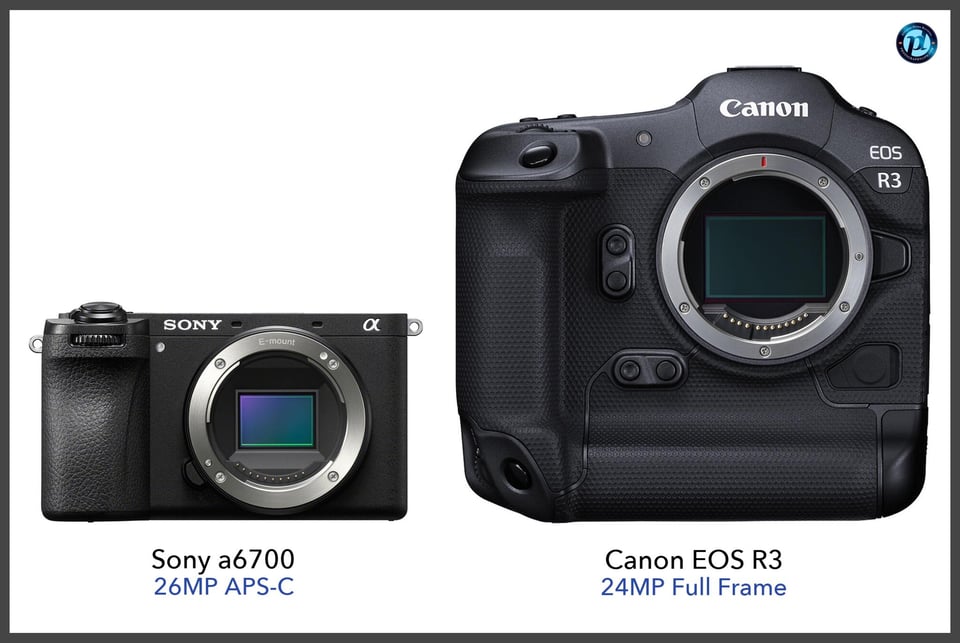 Sonya6700_vs_CanonEOSR3_comparison_front