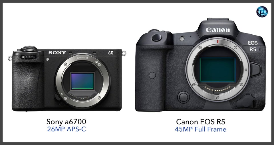 Sonya6700_vs_CanonEOSR5_comparison_front