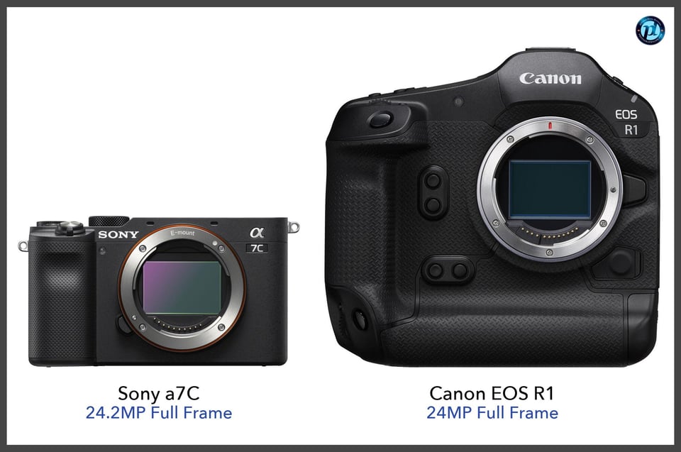 Sonya7C_vs_CanonEOSR1_comparison_front