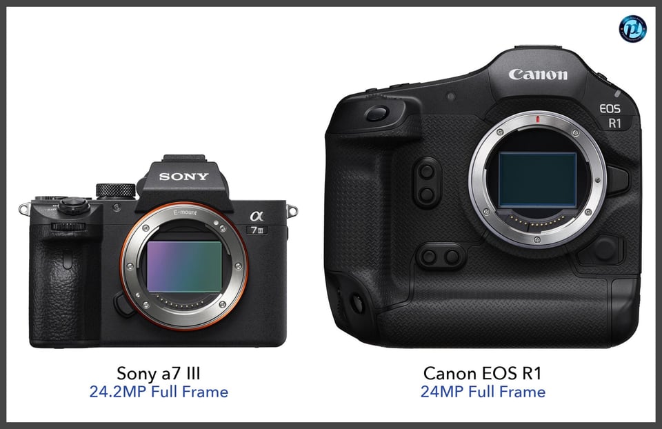 Sonya7III_vs_CanonEOSR1_comparison_front