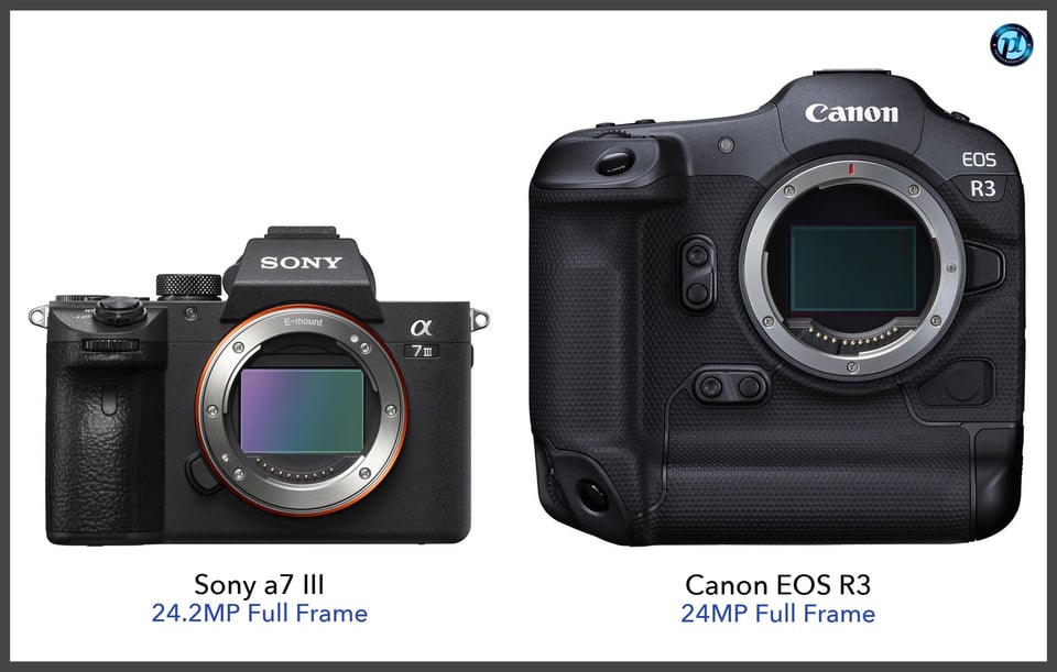 Sonya7III_vs_CanonEOSR3_comparison_front