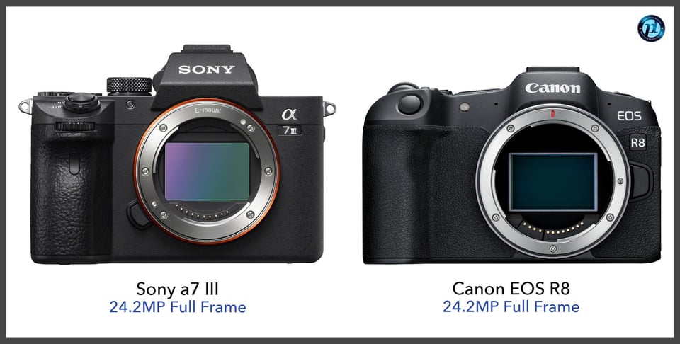 Sonya7III_vs_CanonEOSR8_comparison_front