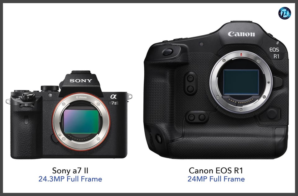 Sonya7II_vs_CanonEOSR1_comparison_front