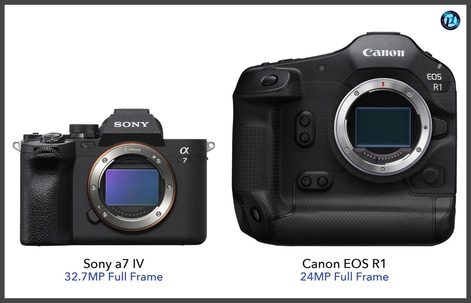 Sonya7IV_vs_CanonEOSR1_comparison_front