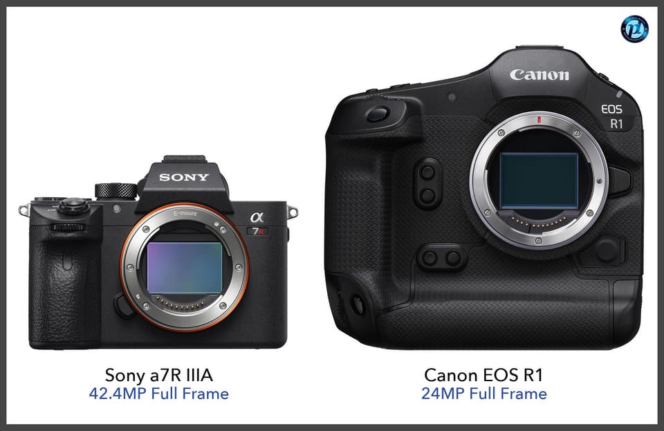 Sonya7RIIIA_vs_CanonEOSR1_comparison_front