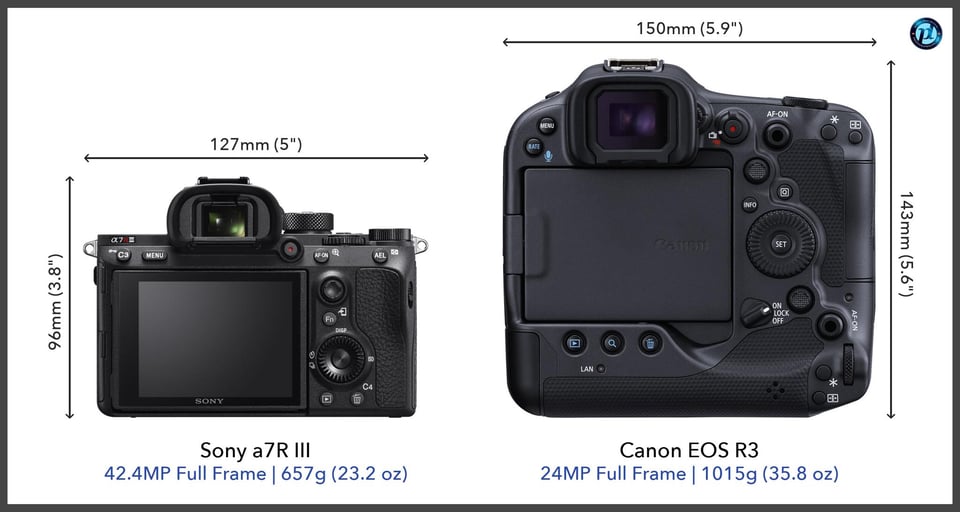 Sonya7RIII_vs_CanonEOSR3_comparison_back