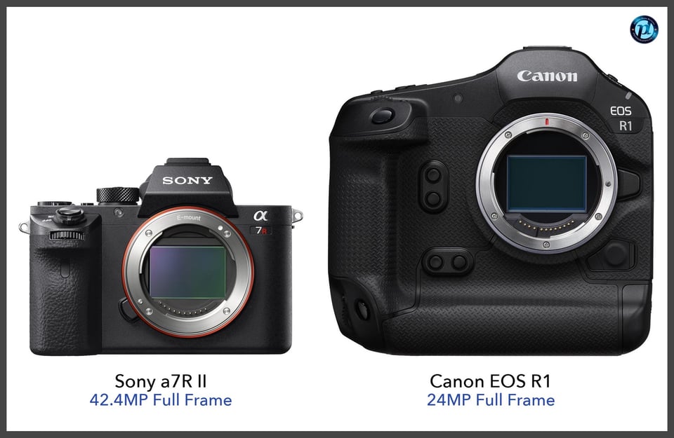 Sonya7RII_vs_CanonEOSR1_comparison_front