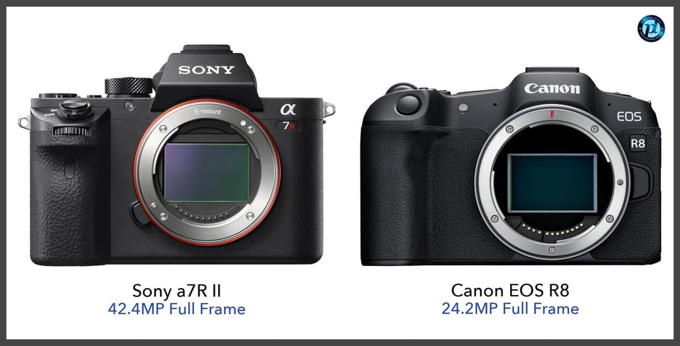 Sonya7RII_vs_CanonEOSR8_comparison_front