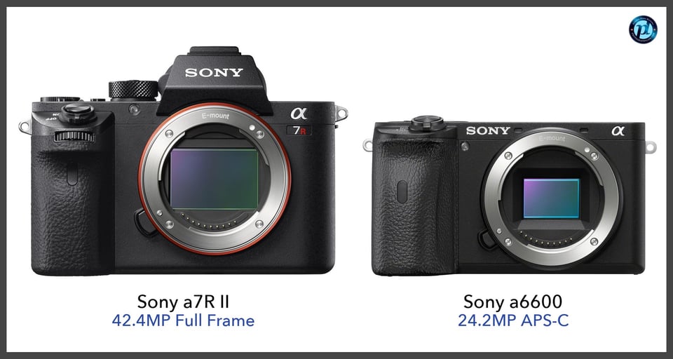 Sonya7RII_vs_Sonya6600_comparison_front