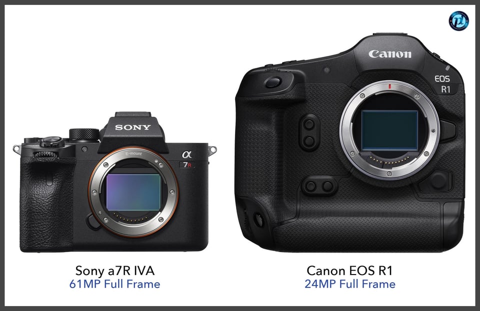 Sonya7RIVA_vs_CanonEOSR1_comparison_front