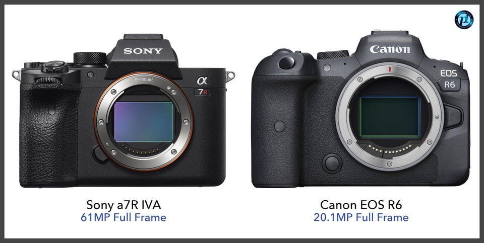 Sonya7RIVA_vs_CanonEOSR6_comparison_front