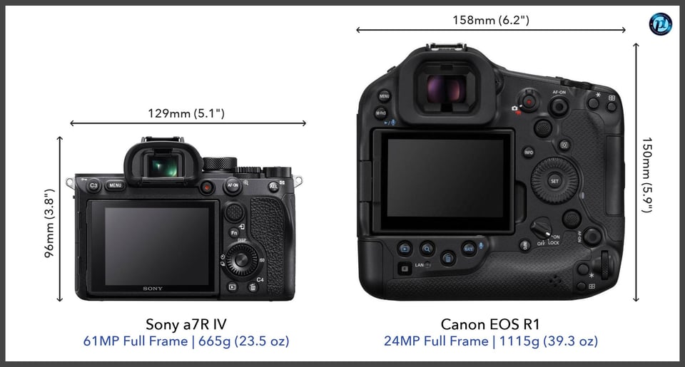 Sonya7RIV_vs_CanonEOSR1_comparison_back