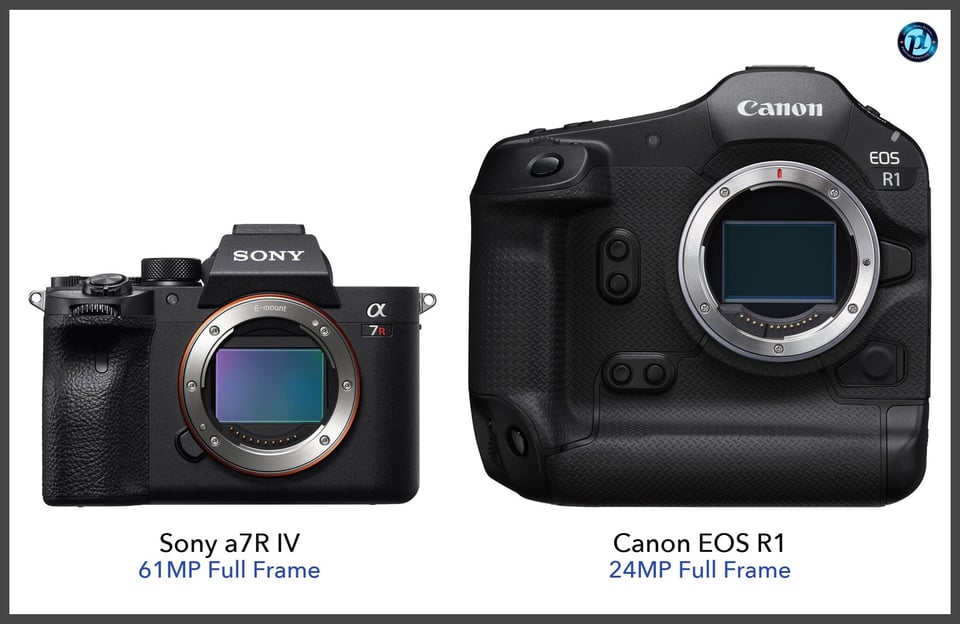 Sonya7RIV_vs_CanonEOSR1_comparison_front