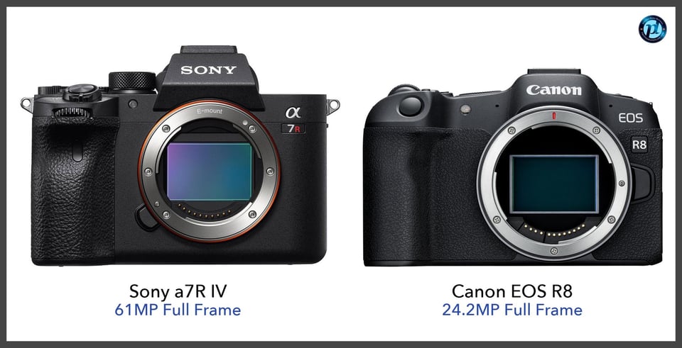 Sonya7RIV_vs_CanonEOSR8_comparison_front