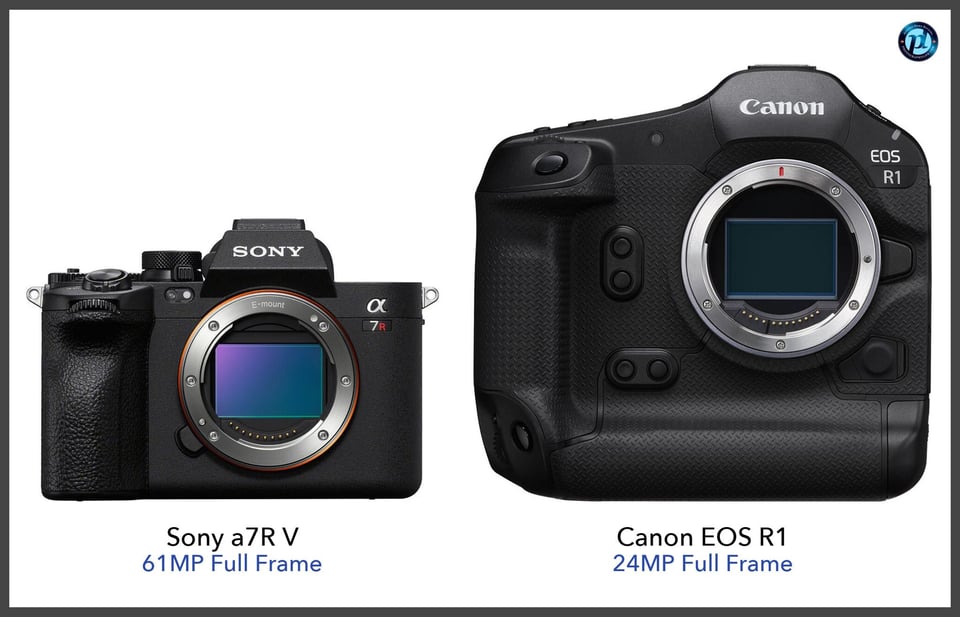 Sonya7RV_vs_CanonEOSR1_comparison_front