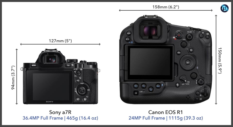 Sonya7R_vs_CanonEOSR1_comparison_back