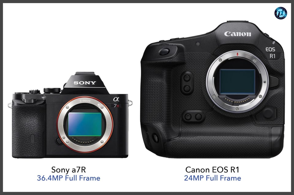 Sonya7R_vs_CanonEOSR1_comparison_front