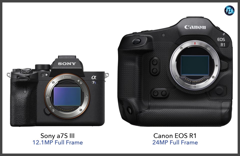 Sonya7SIII_vs_CanonEOSR1_comparison_front