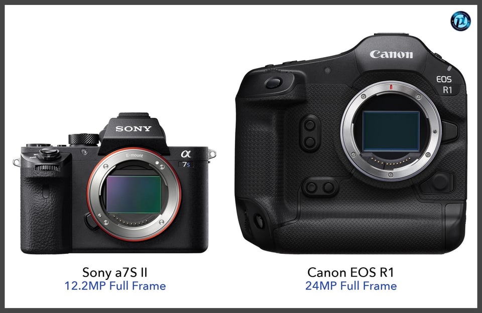 Sonya7SII_vs_CanonEOSR1_comparison_front