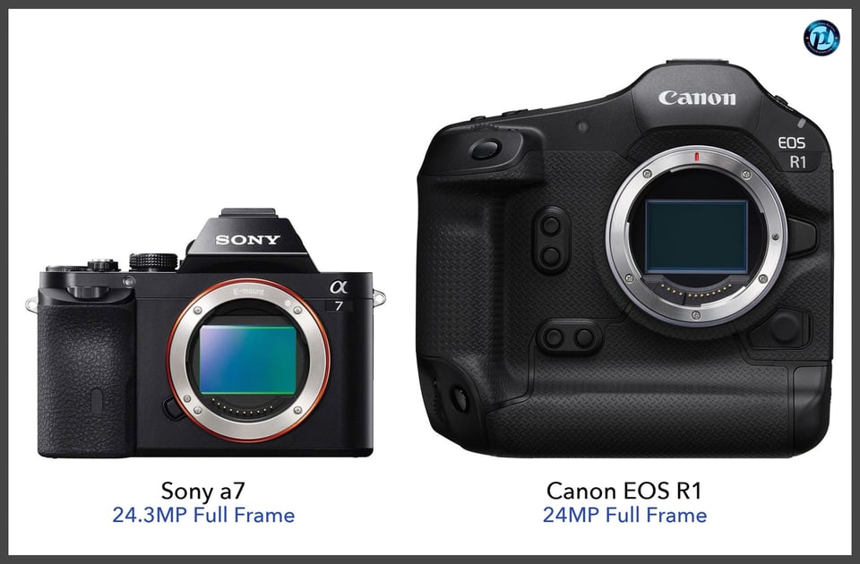 Sonya7_vs_CanonEOSR1_comparison_front