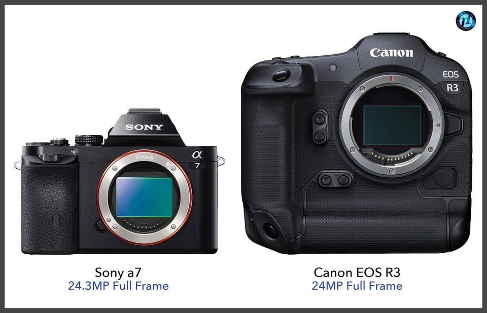 Sonya7_vs_CanonEOSR3_comparison_front