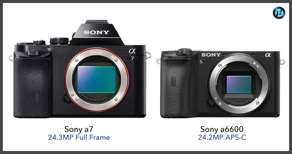 Sonya7_vs_Sonya6600_comparison_front