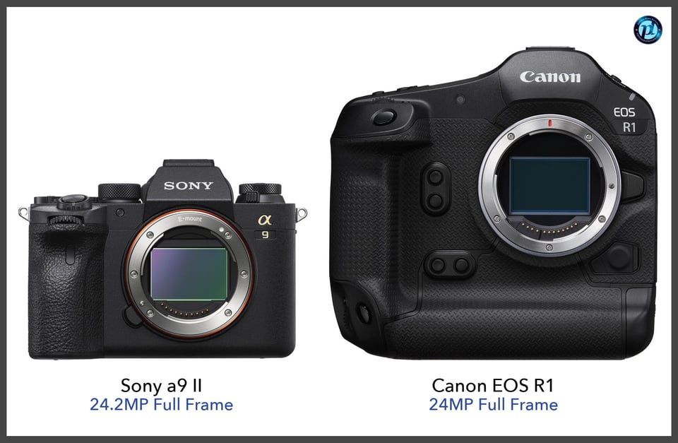 Sonya9II_vs_CanonEOSR1_comparison_front