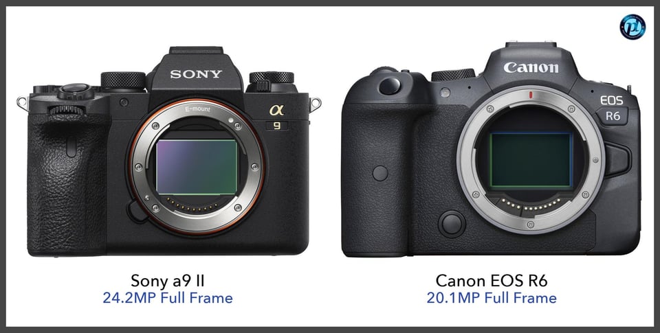 Sonya9II_vs_CanonEOSR6_comparison_front