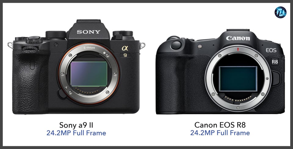 Sonya9II_vs_CanonEOSR8_comparison_front