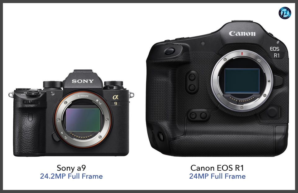 Sonya9_vs_CanonEOSR1_comparison_front