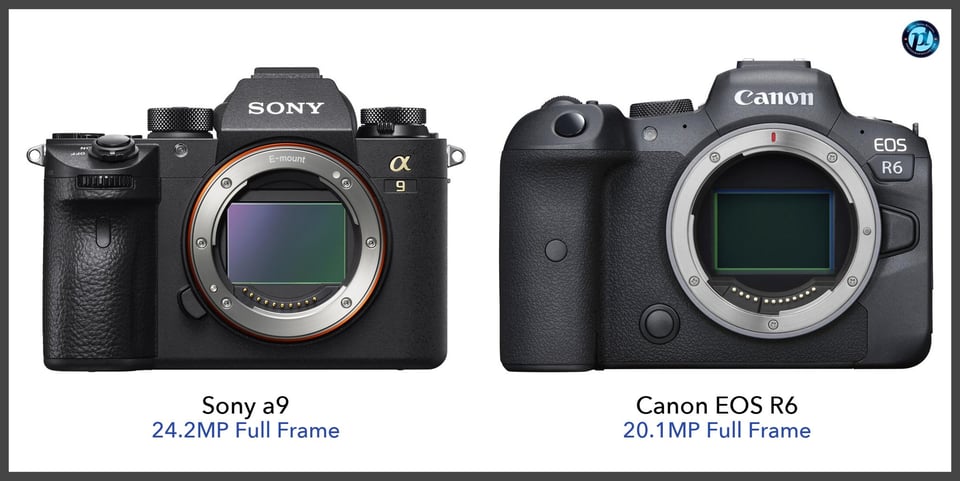 Sonya9_vs_CanonEOSR6_comparison_front