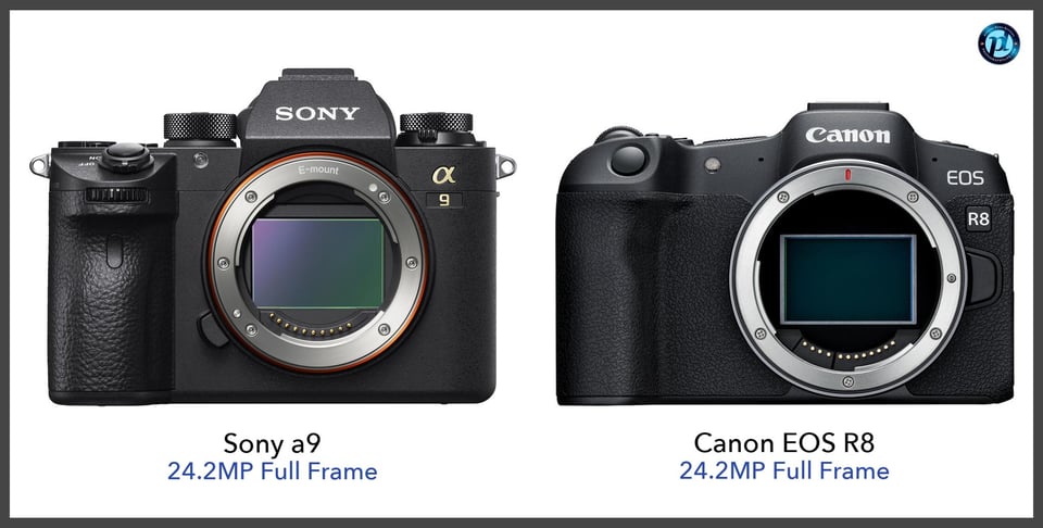 Sonya9_vs_CanonEOSR8_comparison_front