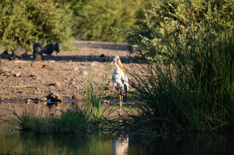 Tamron 150-500mm f5-6.7 Review Sample-00004