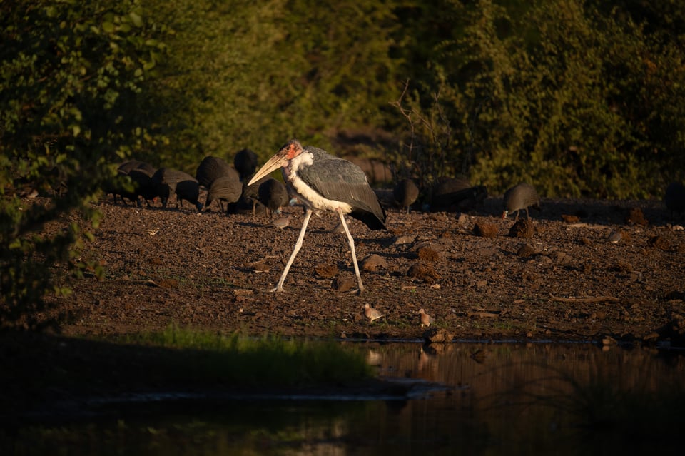 Tamron 150-500mm f5-6.7 Review Sample-00005