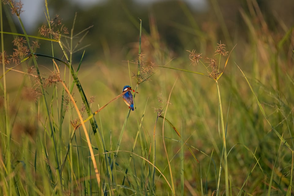 Tamron 150-500mm f5-6.7 Review Sample-00024