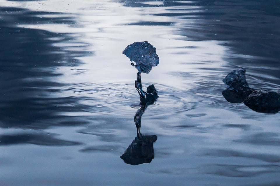 Close-up on the ice flower at Jokulsarlon