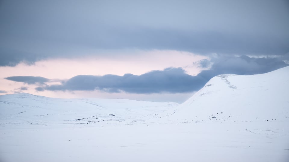 Dovrefjell hills at dawn
