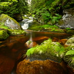 Jizera Mountains_Czech Republic_Nikon Z6 III